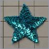 Sequin Star